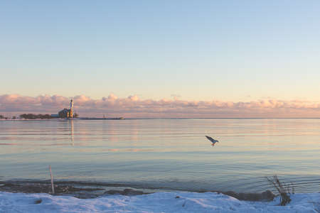sea, ocean, water, snow, winter, nature, bird, animal, flying, horizon, sky, clouds, sunset,...