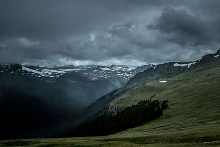 highland, mountain, dark, trees, plant, green, grass, clouds, sky