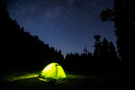 dark, night, blue, sky, stars, galaxy, light, tent, camping, adventure, outdoor, tree, silhouette