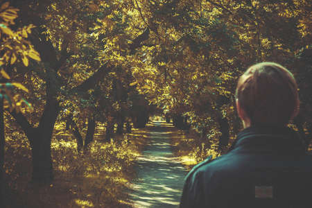 grass, green, plant, trees, sunny, day, path, people, guy, alone, walking, travel, adventure,...