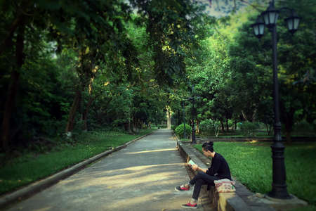 green, grass, lawn, tree, plant, nature, people, guy, boy, man, alone, sitting, reading, book, pole,...