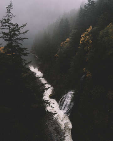 river, water, nature, tree, plant, forest, mountain, hill, landscape, rocks, fogs, cold, waterfall
