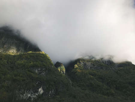 mountain, trees, plant, nature, landscape, forest, fogs, cold