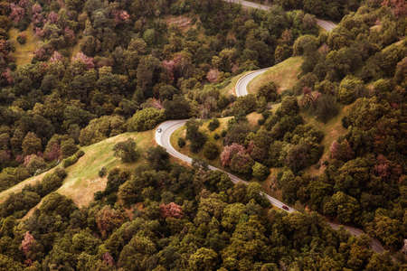 green, grass, tree, plant, nature, highland, landscape, path, mountain, road, trip, travel, car,...