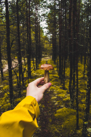 green, grass, tree, plant, nature, outdoor, travel, yellow, sleeve, mushroom, fungus, food