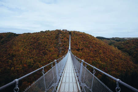mountain, highland, ridge, peak, summit, tree, plant, nature, landscape, steel, bridge, adventure,...