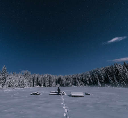 snow, winter, white, cold, weather, ice, people, man, alone, trees, plants, nature