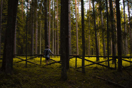 people, man, guy, male, alone, travel, outdoor, nature, backpack, fence, green, grass, tree, plant,...
