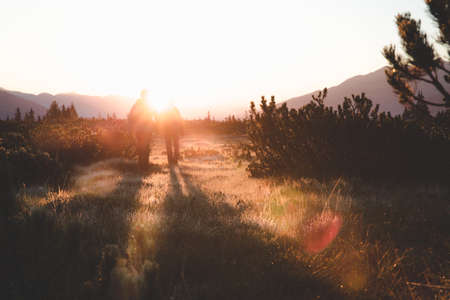 sunlight, sunshine, sunrise, sunset, tree, plant, mountain, grass, nature, outdoor, landscape,...