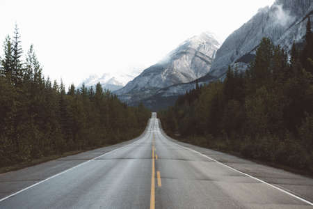 road, path, trees, plant, mountain, sky, cloud, summit, highland, travel, outdoor, landscape, nature