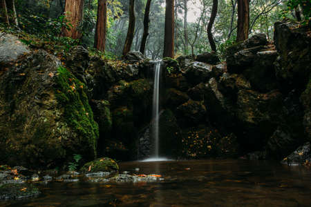 stream, water, rocks, river, waterfall, trees, plant, nature, outdoor, forest, travel, green, moss