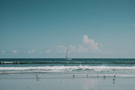 sea, ocean, water, wave, nature, beach, coast, horizon, shore, bird, animal, cloud, sky, boat,...