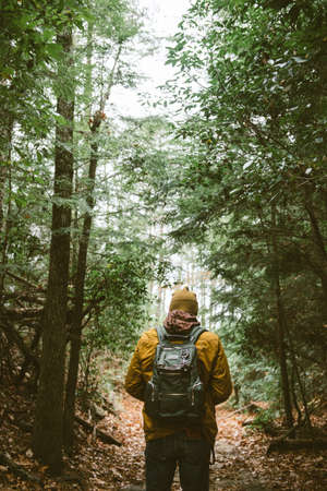 backpack, people, hiking, walking, man, beanie, path, road, trees, plant, forest