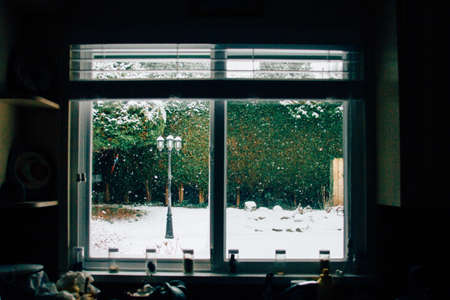window, glass, dark, room, outdoor, view, trees, plant, nature
