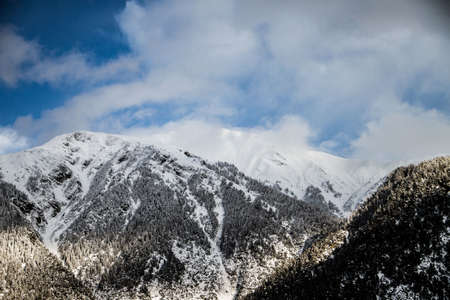 winter, snow, trees, forest, hills, mountains, landscape, nature, blue, sky, cloud
