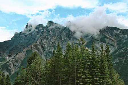 people, trees, plant, nature, highland, valley, mountain, hill, summit, peak, landscape, nature,...