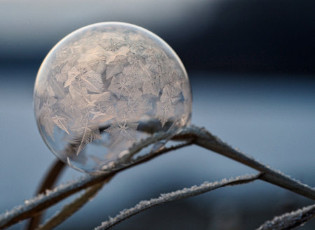 snow, winter, white, cold, weather, ice, snow globe, glass, round, circle, ball