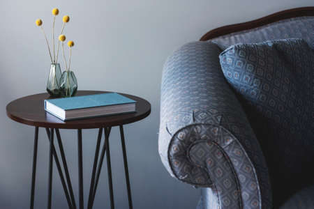 house, interior, design, couch, sofa, table, furniture, flower, vase, book