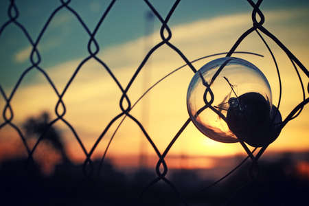bulb, light, sunset, wire, fence