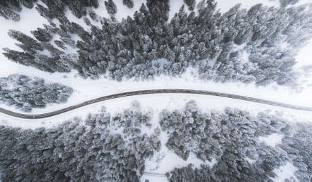 snow, winter, white, cold, weather, ice, trees, plants, nature, road, travel, adventure, woods,...
