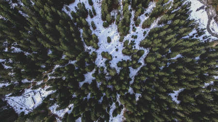 trees, plant, nature, mountain, landscape, snow, winter, aerial, view