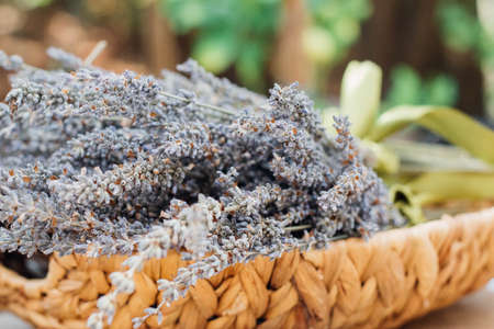 herb, flower, bokeh, leaves, lavender, basket, blur, plants, outdoor