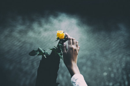 flower, yellow, petal, bloom, garden, plant, nature, autumn, fall, hand