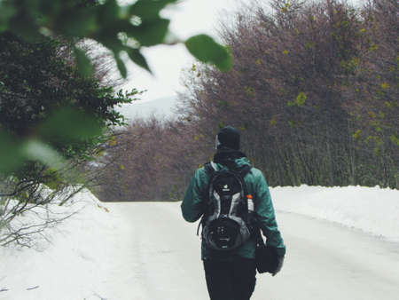 snow, winter, white, cold, weather, ice, trees, plants, nature, people, man, travel, adventure, back...