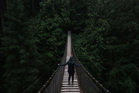 people, dark, bridge, wood, forest, trees, green, alone, travel, adventure