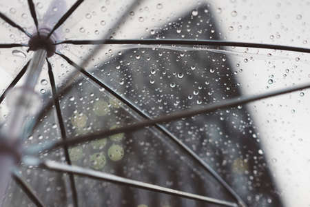 rain, umbrella, plastic, water, cold, weather, building, architecture, design, establishment,...