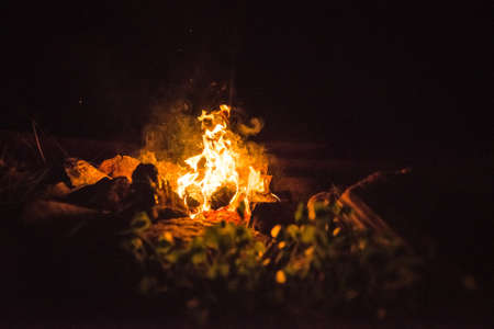 fire, dark, night, camping, travel, adventure, spark
