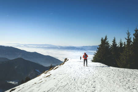 snow, winter, white, cold, weather, ice, trees, plants, nature, mountain, people, man, trek, hike