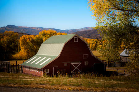 architecture, structure, establishment, cabin, barn, woods, forest, trees, green, windows, grass,...