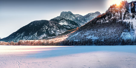 snow, winter, white, cold, weather, ice, trees, plants, nature, sun, mountain, landscape, travel,...
