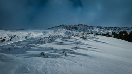 snow, winter, white, cold, weather, ice, trees, plants, nature, travel, adventure, mountain, trek