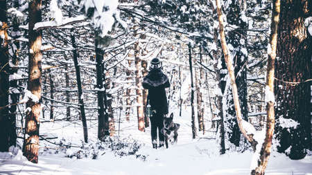 snow, winter, white, cold, weather, ice, trees, plants, nature, forest, woods, people, man, dog,...