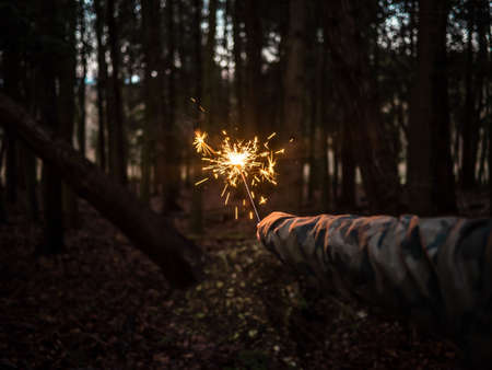 spark, people, fire, light, trees, nature, hand, forest, woods