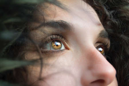 people, lady, woman, eyes, brown, pupil, iris, nose, face, hair