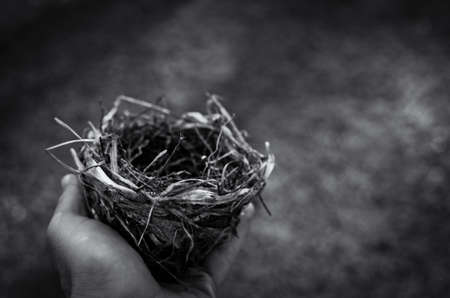 nest, people, man, bird, monochrome, black and white