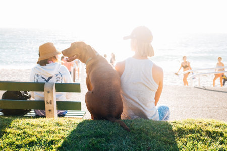 people, man, woman, dog, sun, summer, water, ocean, sea, beach, green, grass, waves, travel,...