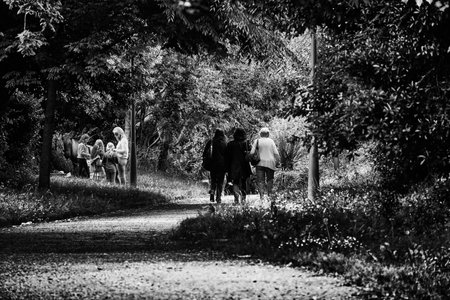 people, women, lady, children, mother, animals, horse, road, walking, plants, trees, grass, black...