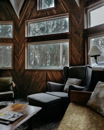 house, home, room, chair, sofa, relax, chill, pillow, nature, windows, trees, green, woods, forest,...