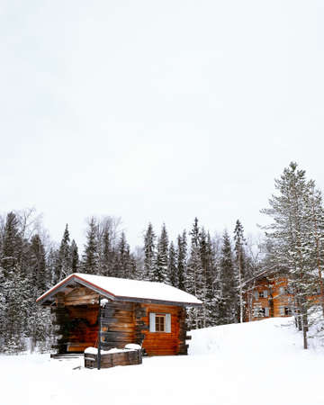 snow, winter, white, cold, weather, ice, trees, plants, nature, house, home, wood, travel,...