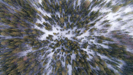 nature, landscape, aerial, woods, forest, snow, winter, cold, weather, travel, adventure