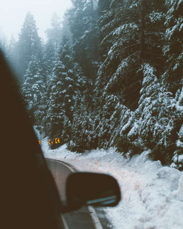 snow, winter, white, cold, weather, ice, trees, plants, nature, travel, adventure, car, vehicle,...