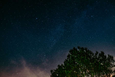 sky, night, stars, trees, galaxy, dark, nature, space, clouds