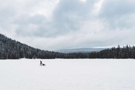 mountain, landscape, man, dog, animal, snow, trees, pines, view, aesthetic, rocks, fog, sky, clouds