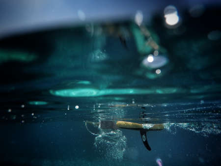 sea, ocean, water, nature, blue, underwater