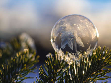 feather, dream catcher, nature, leaves, bokeh