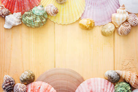 colorful, shell, calm, decor, design